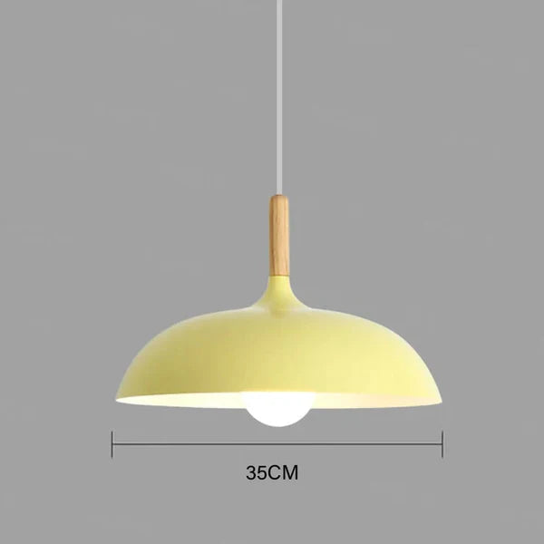 Alaric Moderne Eiken Plafondlamp