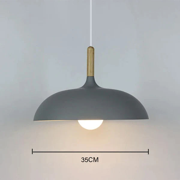 Alaric Moderne Eiken Plafondlamp