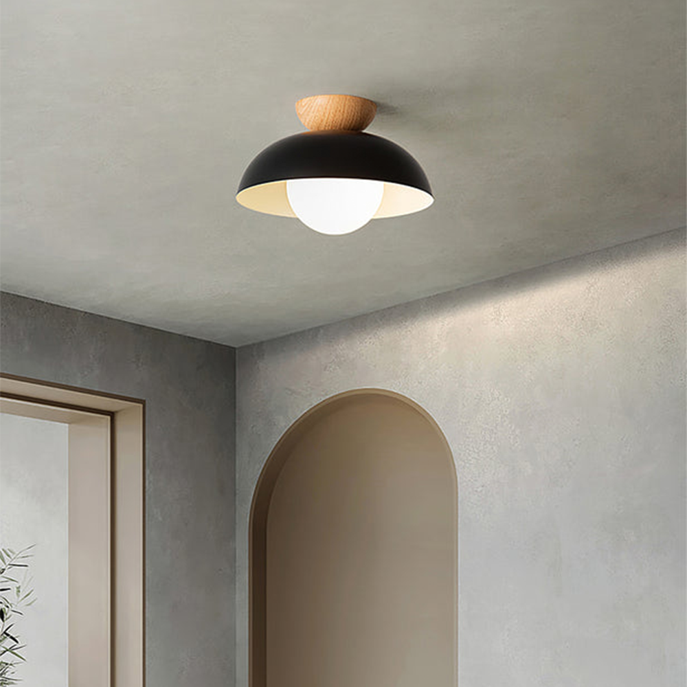 Nordic Milieuvriendelijke Energiezuinige Plafondlamp