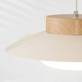 Unieke Creatieve Glutinous Rijstkom LED Hanglamp – Modern Design voor Keuken en Eetkamer
