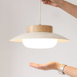 Unieke Creatieve Glutinous Rijstkom LED Hanglamp – Modern Design voor Keuken en Eetkamer
