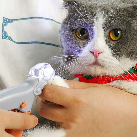 MAX - Beste Nagelknipper voor Honden met Snel Sensoren | Veilig & Ergonomisch