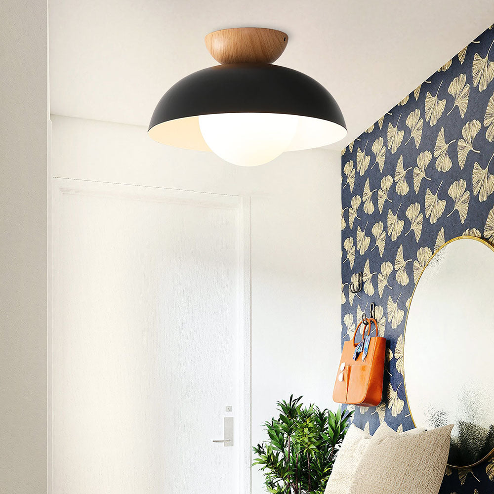 Nordic Milieuvriendelijke Energiezuinige Plafondlamp