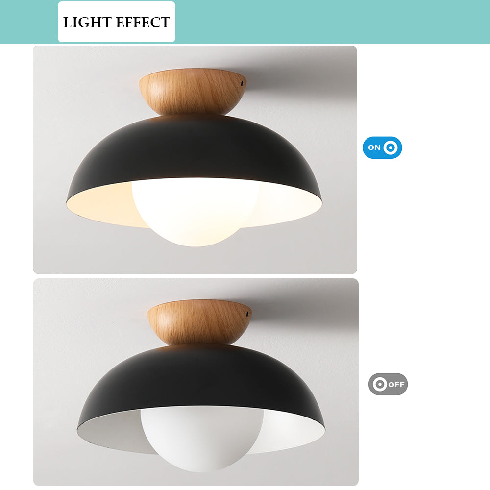 Nordic Milieuvriendelijke Energiezuinige Plafondlamp