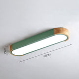 Minimalistische Elliptische Geometrische Plafondlamp