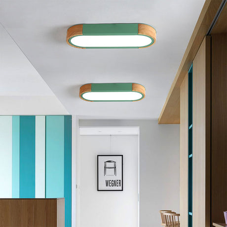 Minimalistische Elliptische Geometrische Plafondlamp