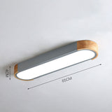 Minimalistische Elliptische Geometrische Plafondlamp