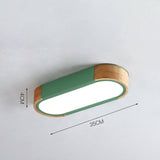 Minimalistische Elliptische Geometrische Plafondlamp