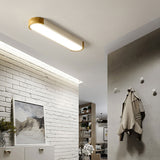 Minimalistische Elliptische Geometrische Plafondlamp