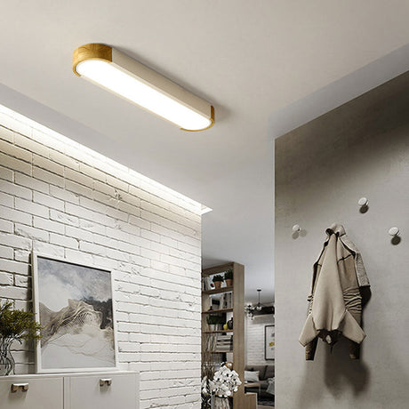 Minimalistische Elliptische Geometrische Plafondlamp