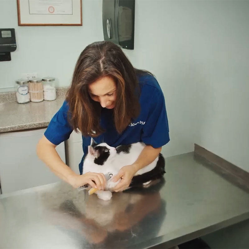 MAX - Beste Nagelknipper voor Honden met Snel Sensoren | Veilig & Ergonomisch