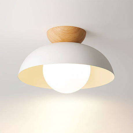 Nordic Milieuvriendelijke Energiezuinige Plafondlamp