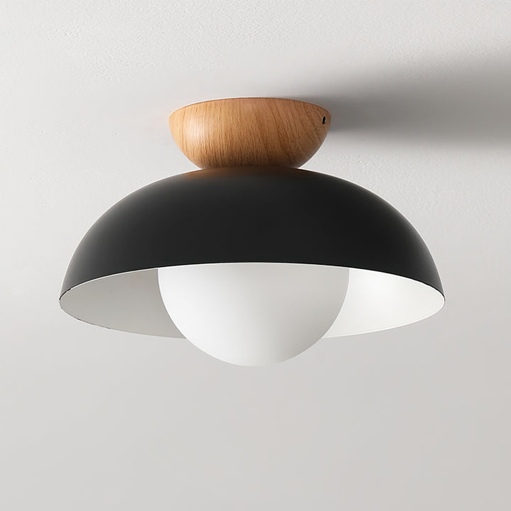 Nordic Milieuvriendelijke Energiezuinige Plafondlamp