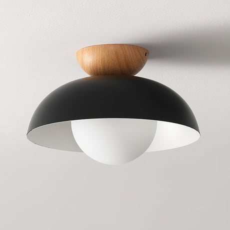 Nordic Milieuvriendelijke Energiezuinige Plafondlamp