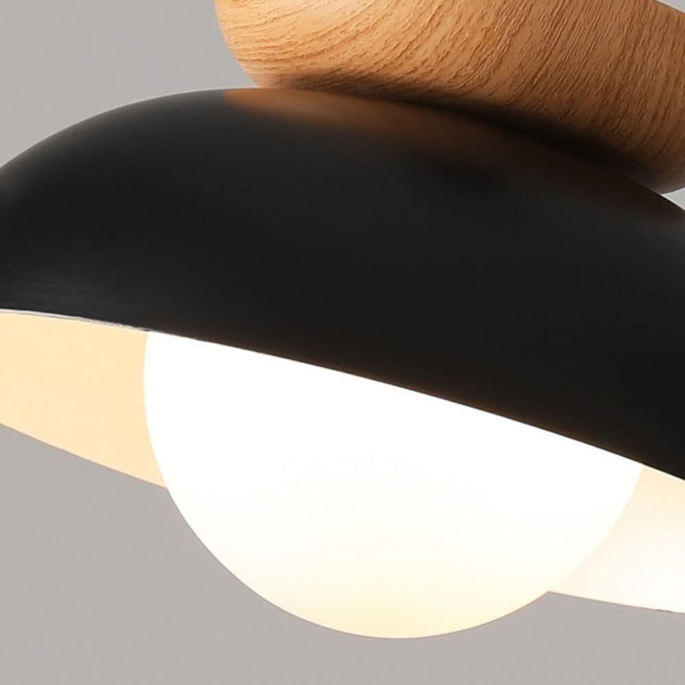 Nordic Milieuvriendelijke Energiezuinige Plafondlamp