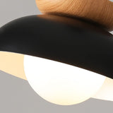 Nordic Milieuvriendelijke Energiezuinige Plafondlamp