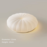 Minimalistische Schelp Ronde LED Plafondlamp