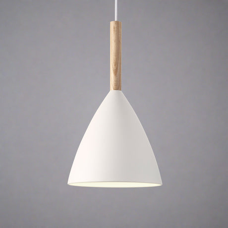 Minimalistische Pure 20 Hanglamp