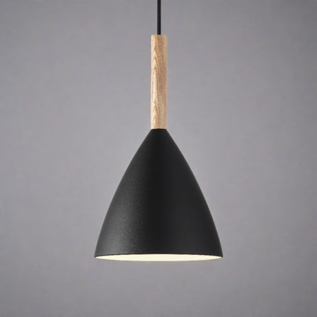 Minimalistische Pure 20 Hanglamp
