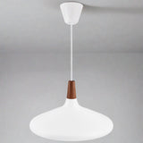 Industriële Elegantie Nori 39 Hanglamp