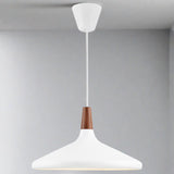 Industriële Elegantie Nori 39 Hanglamp